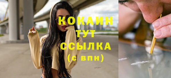 spice Алексин
